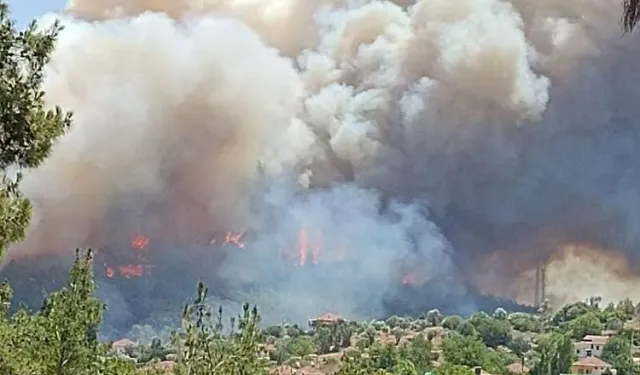 Yaz Sıcakları Türkiye'yi Yangınlarla Kuşattı: İzmir, Bursa, Balıkesir ve Kahramanmaraş'ta Ormanlar Alev Alev
