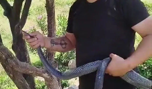 Ona Herkes Yılancı Kemal Diyor: İnsanlar yılanlardan daha tehlikeli!