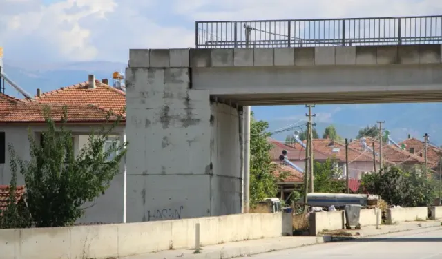 Amasya'da 16 yıldır tamamlanamayan üstgeçitte ağaçlar bitti