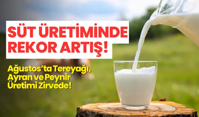 Süt Üretiminde Rekor Artış! Ağustos’ta Tereyağı, Ayran ve Peynir Üretimi Zirvede!