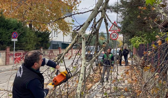 İnegöl Belediyesi’nde Lodos Mesaisi