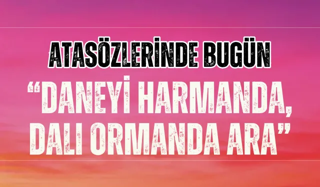 “Daneyi Harmanda, Dalı Ormanda Ara” Atasözü Ne Demek? Ne Anlama Geliyor?