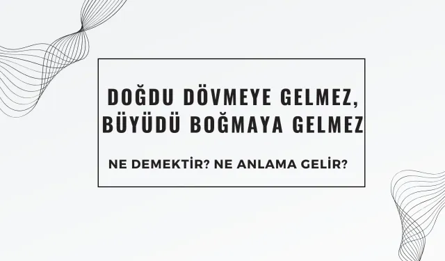 Dolu Dolu Bursa Atasözü "Doğdu Dövmeye Gelmez, Büyüdü Boğmaya Gelmez" Ne Demektir? Ne Anlama Gelir?