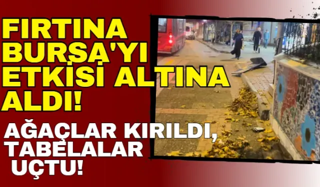 Fırtına Bursa'yı Etkisi Altına Aldı! Ağaçlar Kırıldı, Tabelalar Uçtu!