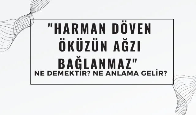 "Harman Döven Öküzün Ağzı Bağlanmaz" Atasözü Ne Demek?