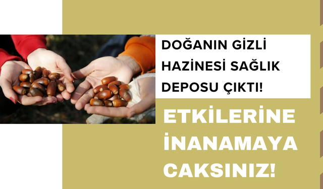 Doğanın Gizli Hazinesi Sağlık Deposu Çıktı ! Etkilerine  İnanamayacaksınız !