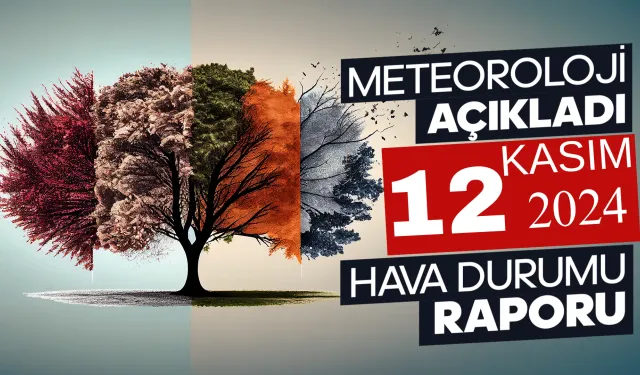 Meteoroloji Açıkladı: 12 Kasım 2024 Hava Durumu Raporu...