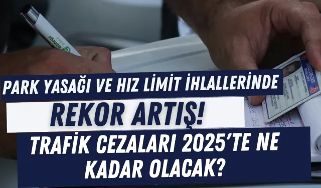 Park Yasağı ve Hız Limit İhlallerinde Rekor Artış! Trafik Cezaları 2025'te Ne Kadar Olacak?