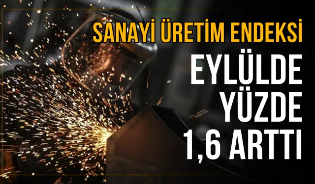 Sanayi üretim endeksi eylülde aylık yüzde 1,6 arttı