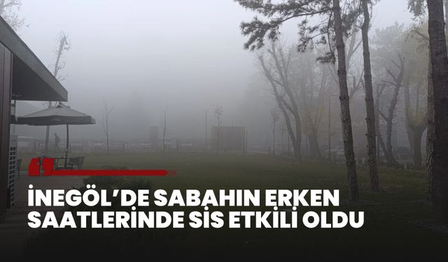 İnegöl'de sabah saatlerinde sis etkili oldu