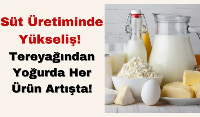 Süt Üretiminde Yükseliş! Tereyağından Yoğurda Her Ürün Artışta!