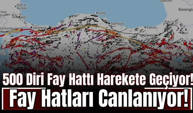 500 Diri Fay Hattı Harekete Geçiyor! Türkiye'nin Altındaki Fay Hatları Canlanıyor!