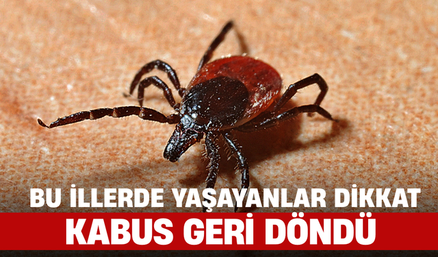 Bu İllerde Yaşayanlar Dikkat! Kabus Geri Döndü