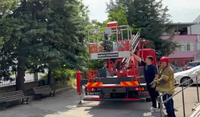 Bursa’da Kediler Ağaçta Mahsur Kaldı, İtfaiye Ekipleri Seferber Oldu