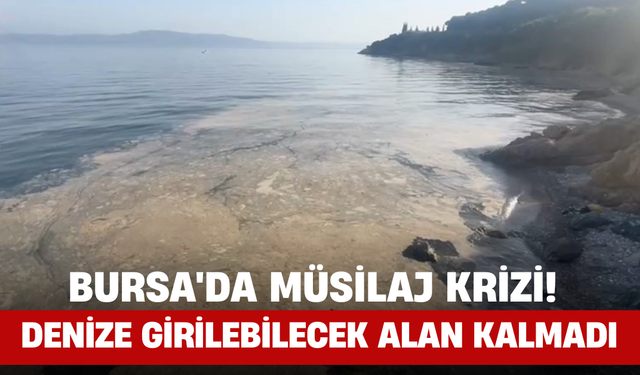 Bursa'da Müsilaj Krizi! Denize Girilebilecek Alan Kalmadı