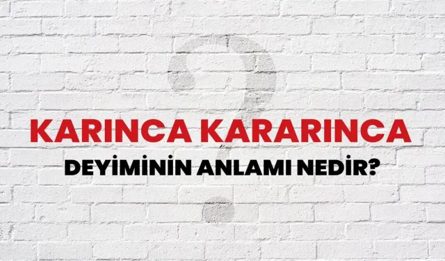 Karınca Kararınca Deyimi Ne Demek? Neden Hâlâ Bu Kadar Anlamlı?