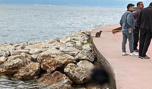 Sahildeki Kayalıklarda Erkek Cesedi Bulundu