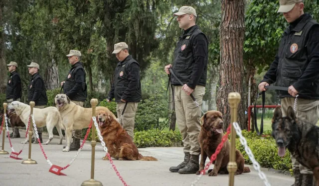 TSK'nın Eğitimli 12 Irk Köpeği Operasyonlarda Büyük Başarı Sağlıyor