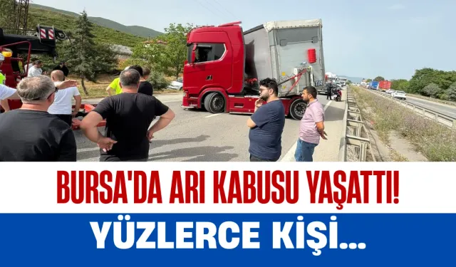 Bursa'da Arı Kabusu Yaşattı! Yüzlerce Kişi...
