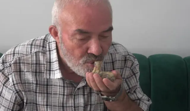 Bursa’da Ölmek Üzere Bulduğu Güvercini Ağzıyla Besleyerek Hayata Döndürdü