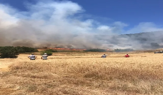Yenişehir'de Anız Yangını Ormana Sıçradı: Ekipler Müdahale Ediyor