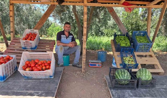 Bir memleket klasiği bahçeden topladığı sebzelerin parasını bakın nasıl ödedi..