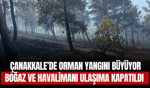 Çanakkale’de Orman Yangını Büyüyor! Boğaz ve Havalimanı Ulaşıma Kapatıldı