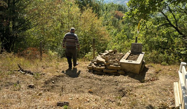Ayı mezarlığa daldı, Mezar kazıp cenazeyi yemeye çalıştı