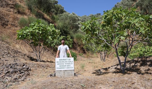 Gören Mezar taşı zannediyor, ölüler için değil yaşayanlar için koymuş