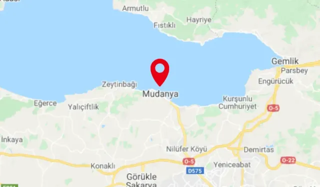 Mudanya’da 3 bin 415 m² tarla icradan satışa çıkarıldı