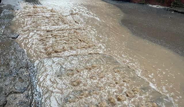 İzmir'de şiddetli yağış taşkınlara sebep oldu