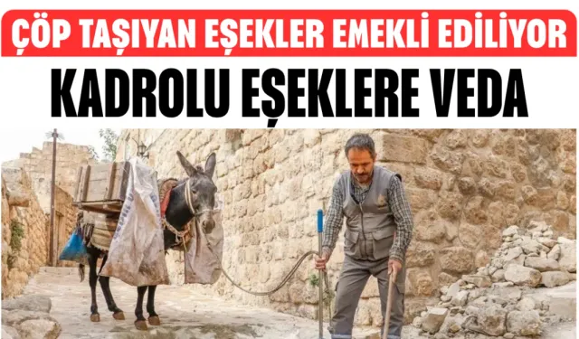 Kadrolu Eşeklere Veda! Çöp Taşıyan Eşekler Emekli Ediliyor