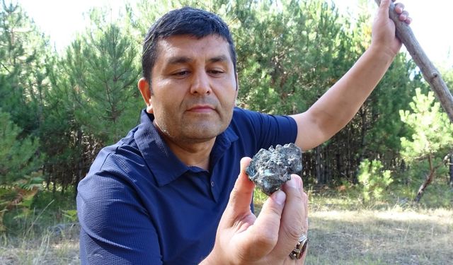 Mantar toplarken göktaşı buldu