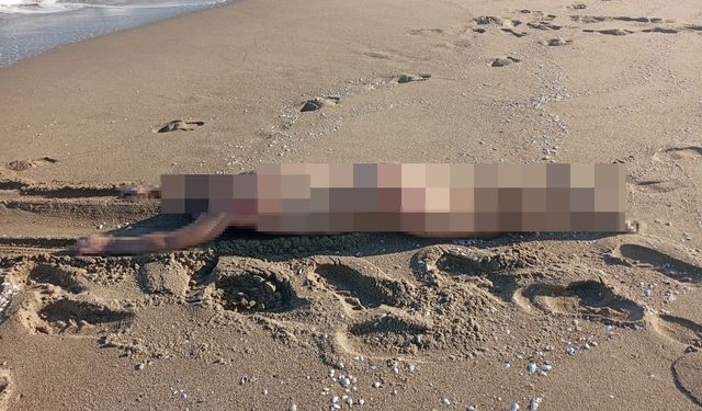 Sahilde çırılçıplak erkek cesedi bulundu