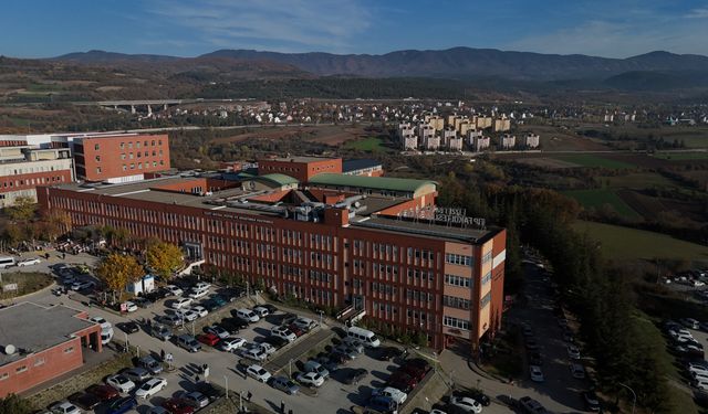 Enerji Santralindeki “Şaka” Ağır Yaralanmayla Bitti: İşçi Tutuklandı