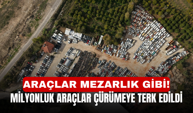 Araçlar Mezarlık Gibi! Milyonluk araçlar çürümeye terk edildi