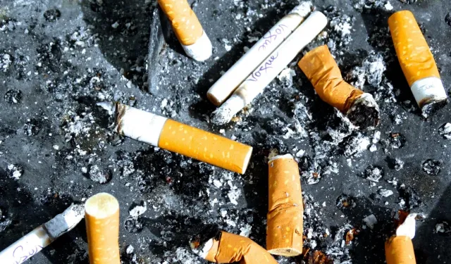 Berlin’de izmariti yere atmanın cezası 3 bin avro