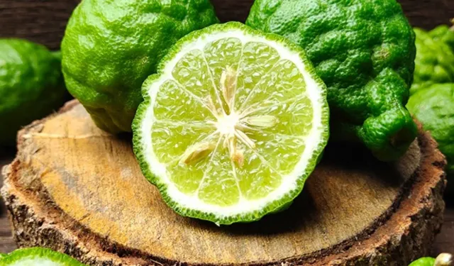 Bergamot Nedir? Bergamotun Faydaları Nelerdir, Hangi Alanlarda Kullanılır ve Neden Bu Kadar Değerli Bir Bitkidir?