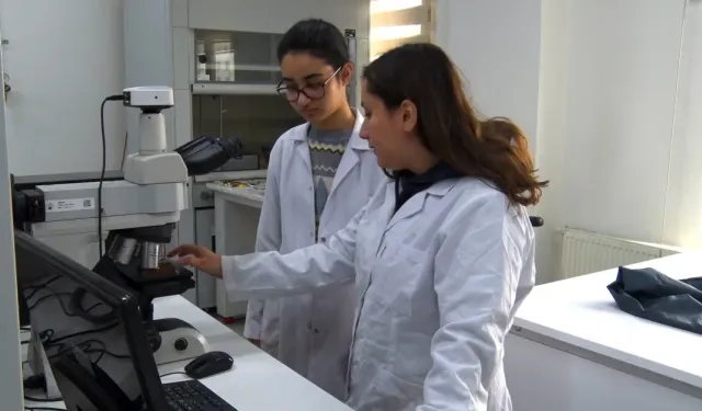 BTÜ’nün “Üniversiteni Yaşa” Projesi Öğrencileri Ağırlıyor