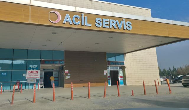 Bursa'nın Gururu Muhammed Emir Kurtulan'dan 4 Avrupa şampiyonluğu