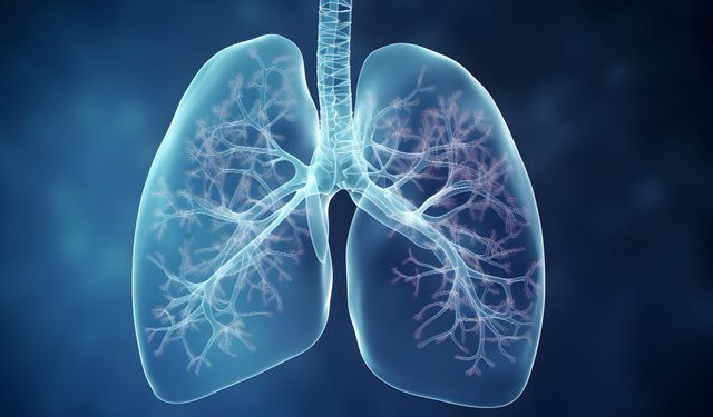 12 Kasım Ne Günü? 12 Kasım Dünyada ve Türkiye’de Ne Günü? 12 Kasım Günü Ne Burcu?