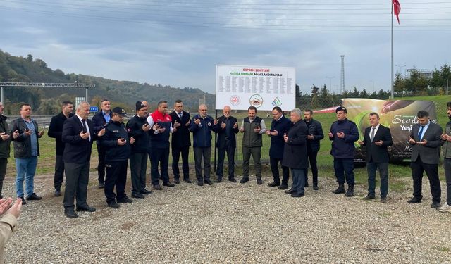 Düzce'de deprem şehitleri anısına 350 fidan dikildi