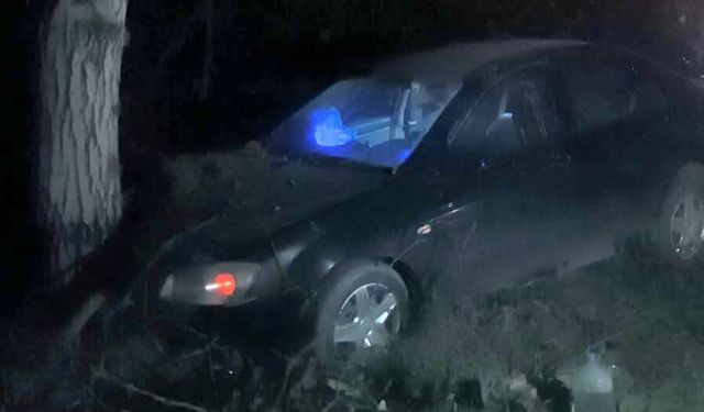 İnegöl’de otomobil ağaca çarptı