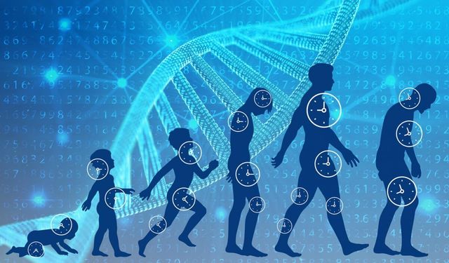 Longevity Nedir? Bilim Dünyasının Konuştuğu Bu “Sağlıklı Uzun Yaşam” Yaklaşımı Gerçekten Ne Kadar Etkili Olabilir?