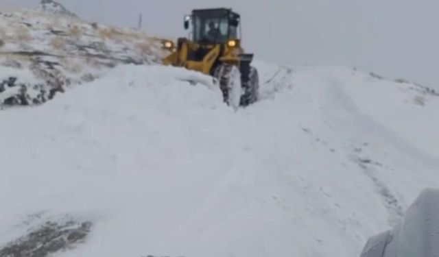 Şırnak’ta kar kalınlığı 20 santimetreyi aştı