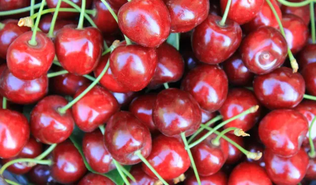 Türkiye dondurulmuş gıdada ihracatta büyüyor