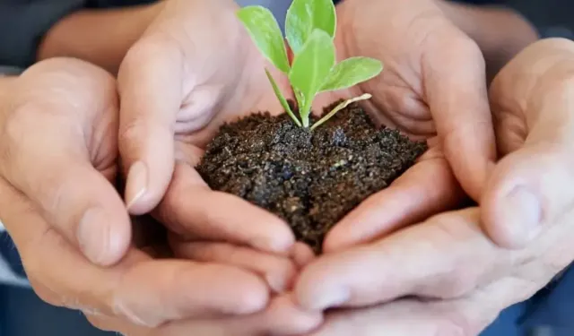 Türkiye'deki En İyi Çevre Danışmanlık Firmaları