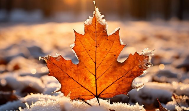 22 Aralık Ne Günü? 22 Aralık Dünyada ve Türkiye’de Ne Günü? 22 Aralık Ne Burcu?