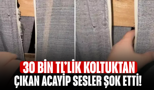 30 Bin TL’lik Koltuktan Çıkan Acayip Sesler Şok Etti!