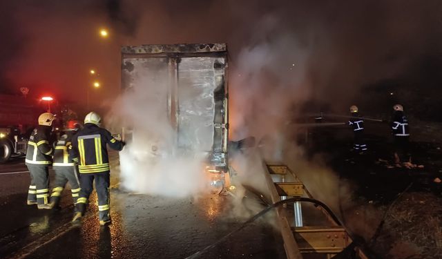 Şanlıurfa'da beyaz eşya yüklü tır alev alev yandı